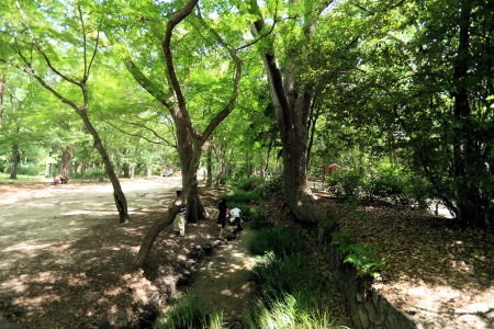 110807_下賀茂神社blog_03