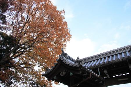 081213_光明寺_07